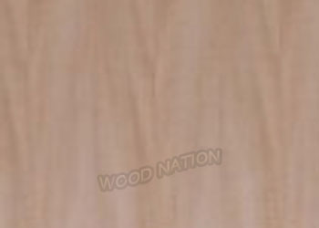 Wood Nation